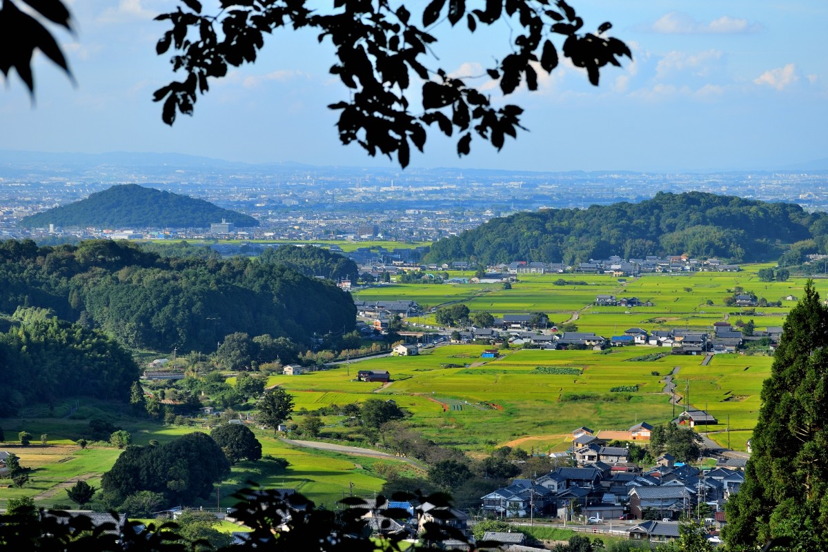 祝・世界文化遺産登録「飛鳥・藤原の宮都」